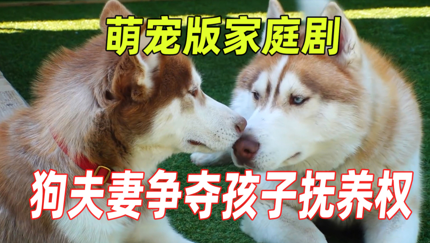 美2名宇航员回地球后首次开发布会,024年新澳门开奖结果查询,决策资料解释落实_iPadV1.25